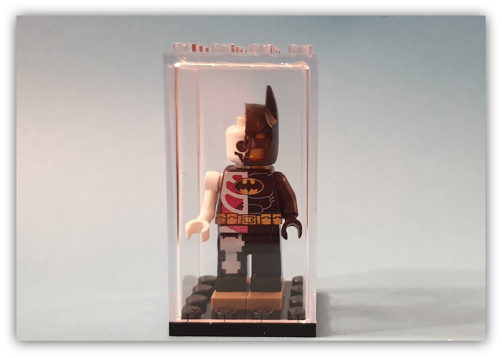 Display Case Frame for Lego Hidden Side minifigures no figures